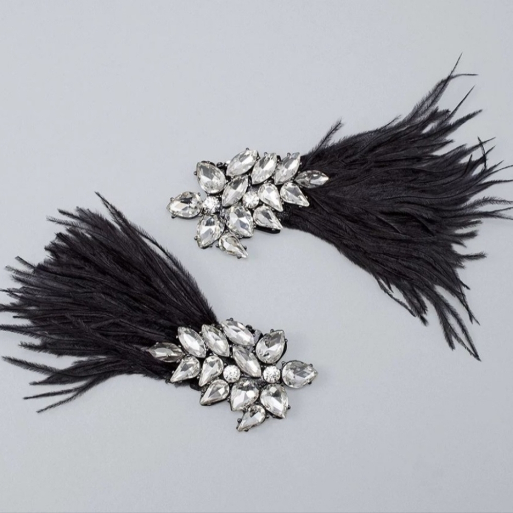 WHBM Crystal & Feather Shoe Clips – Black Party Glam Set, NWT